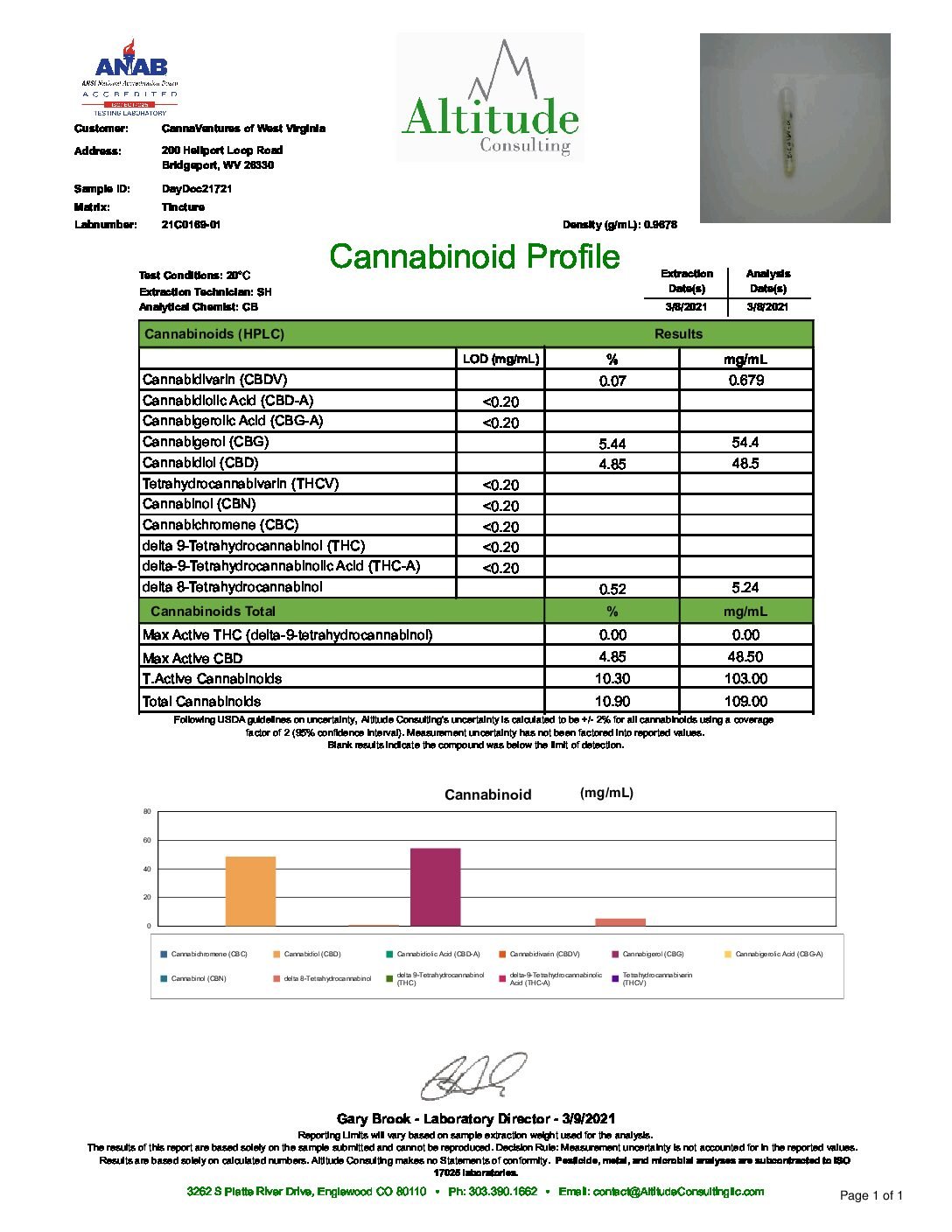 Day Doc Curates Engaging Documentaries for Smart, Curious Viewers